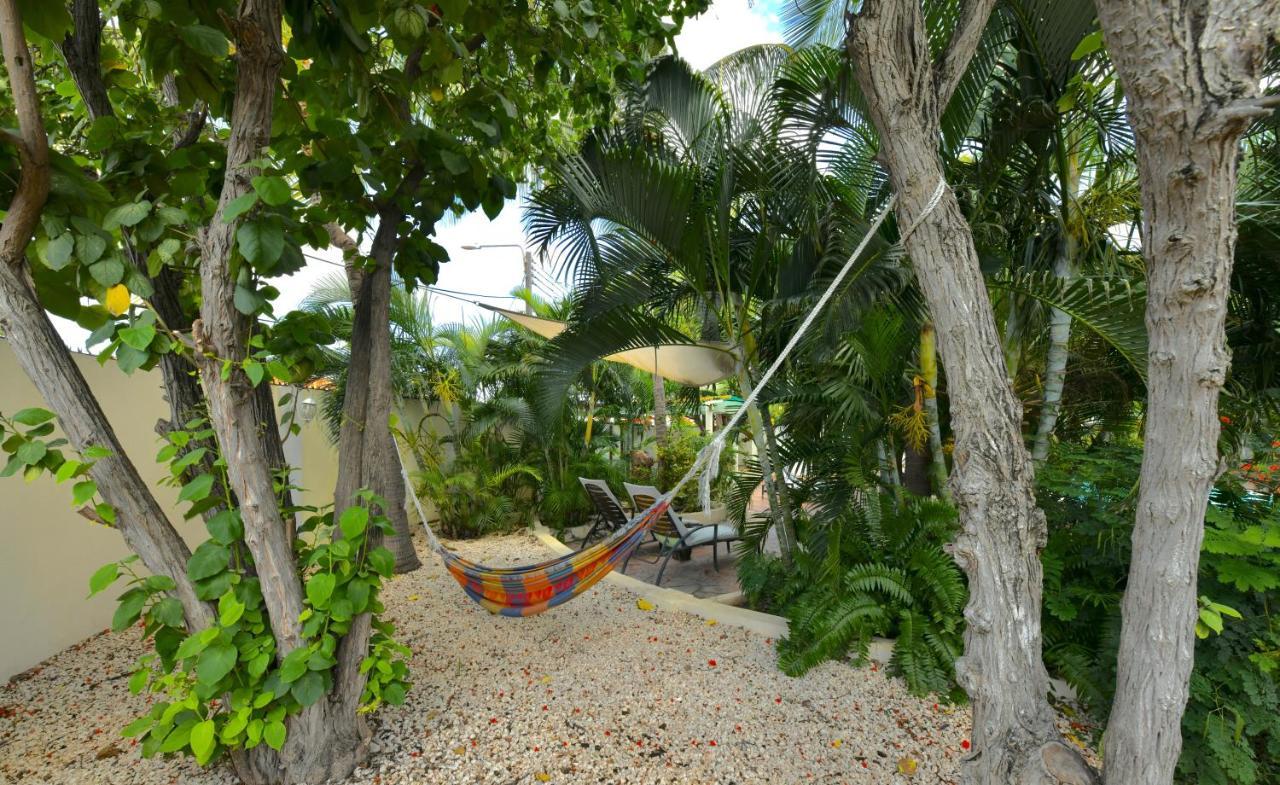 Wonders Boutique Hotel Oranjestad Eksteriør billede